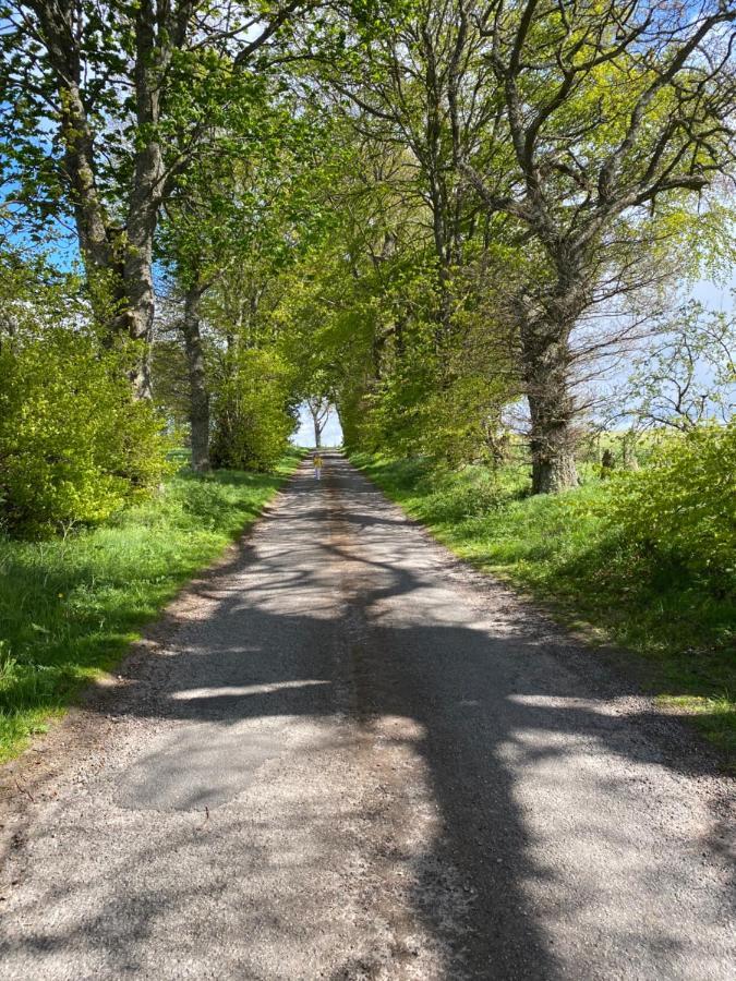 Druid House Lodge Inverness Esterno foto